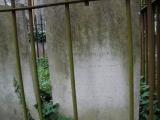 image of grave number 31917